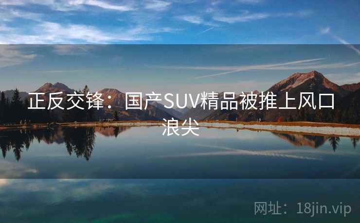 正反交锋:国产SUV精品被推上风口浪尖