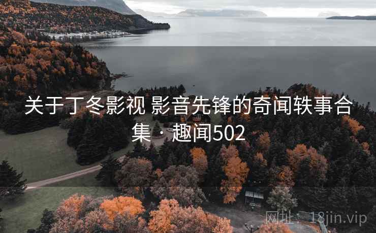 关于丁冬影视 影音先锋的奇闻轶事合集 · 趣闻502
